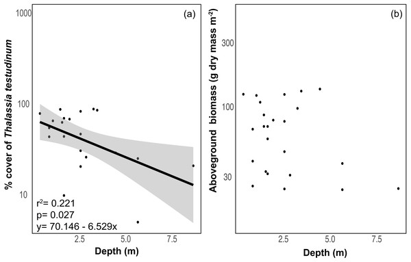 Relationship between depth and seagrass characteristics.
