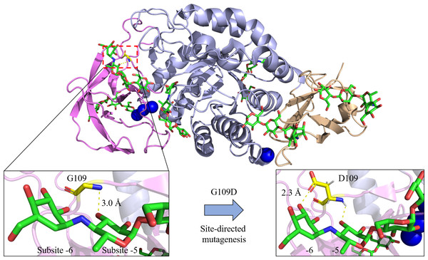 Site-directed mutagenesis of G109D in Bst-MFAse (PDB ID: 6ag0; Xie et al., 2019a).