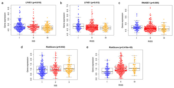 Relationship of prognostic genes and risk model with clinical variables for MM.