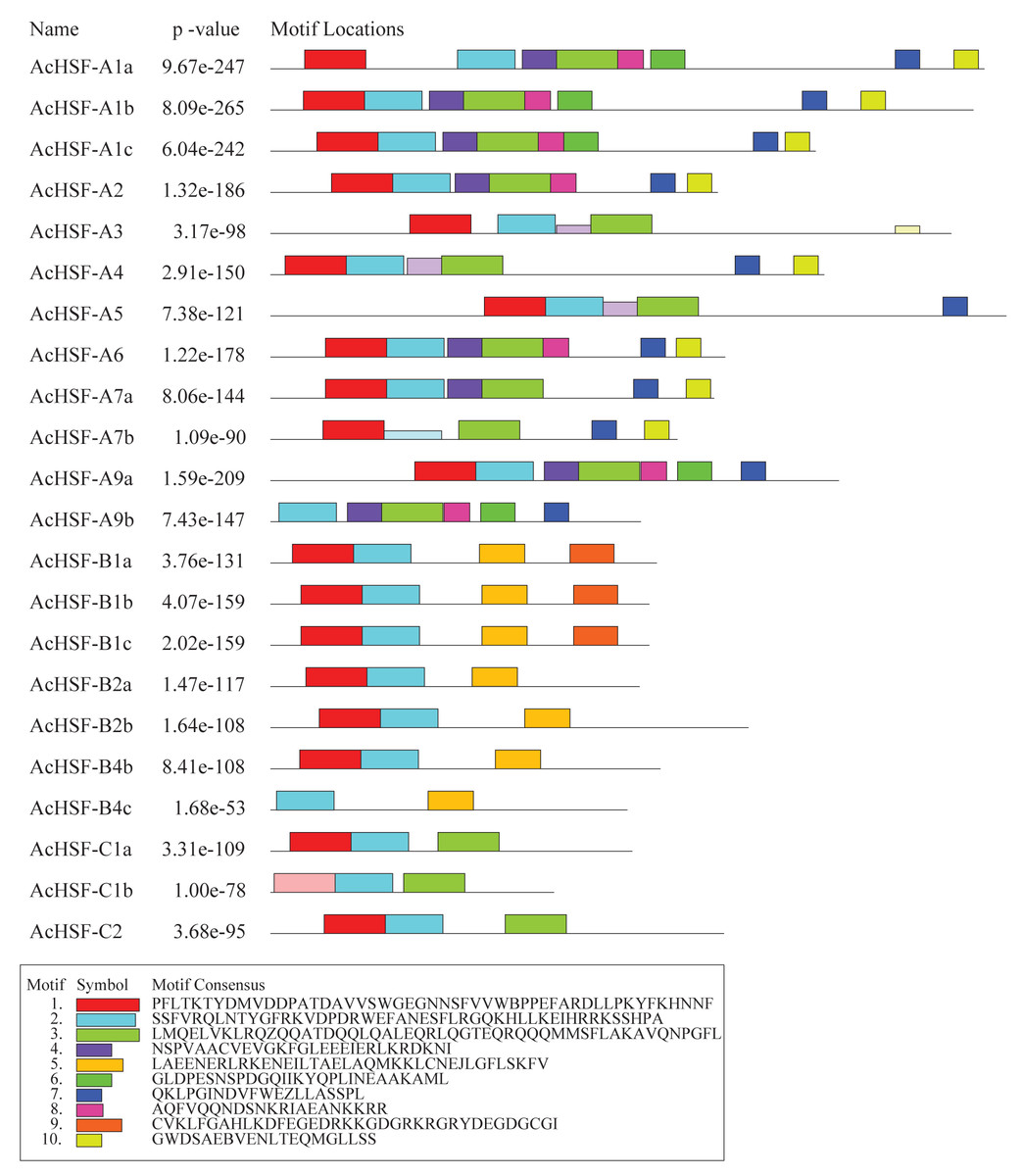 Genome-wide identification, classification, and expression analysis of ...