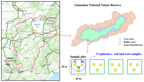 Location of Guanshan National Nature Reserve and study sites.