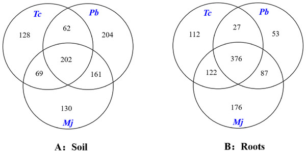 Venn diagram analysis of OTUs in dominant tree species in a natural Toona ciliata var. pubescens forest.
