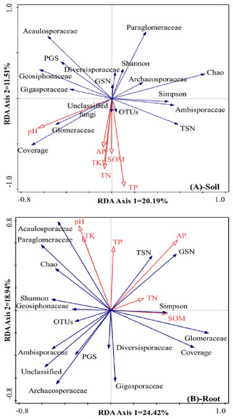 RDA results of the AMF community characteristics and soil chemical properties in a natural Toona ciliata var. pubescens forest (A: Soil, B: roots).