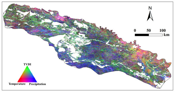 RGB composite of climate weights from monthly multiple regression between vegetation cover (defined as NDVI), vegetation cover at t-1, and three climatic variables.