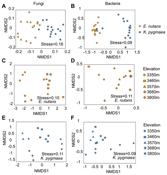 Non-metric multidimensional scaling (NMDS) ordination of the community composition of endophytic bacteria and fungi based on Bray-Curtis distances.