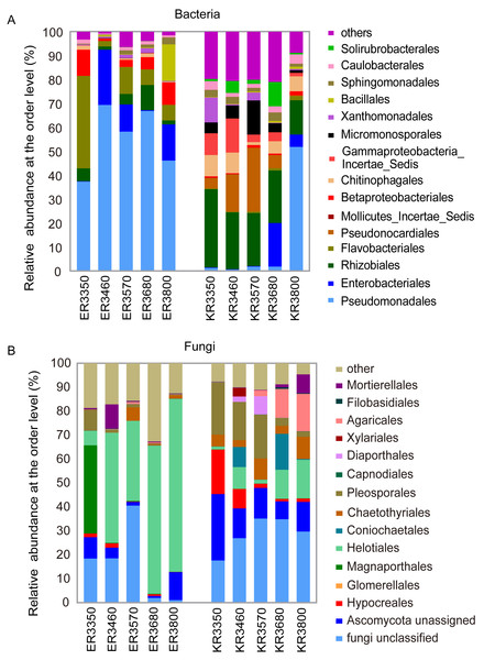 Relative abundance of bacterial (A) and fungal taxa (B) at the order level.