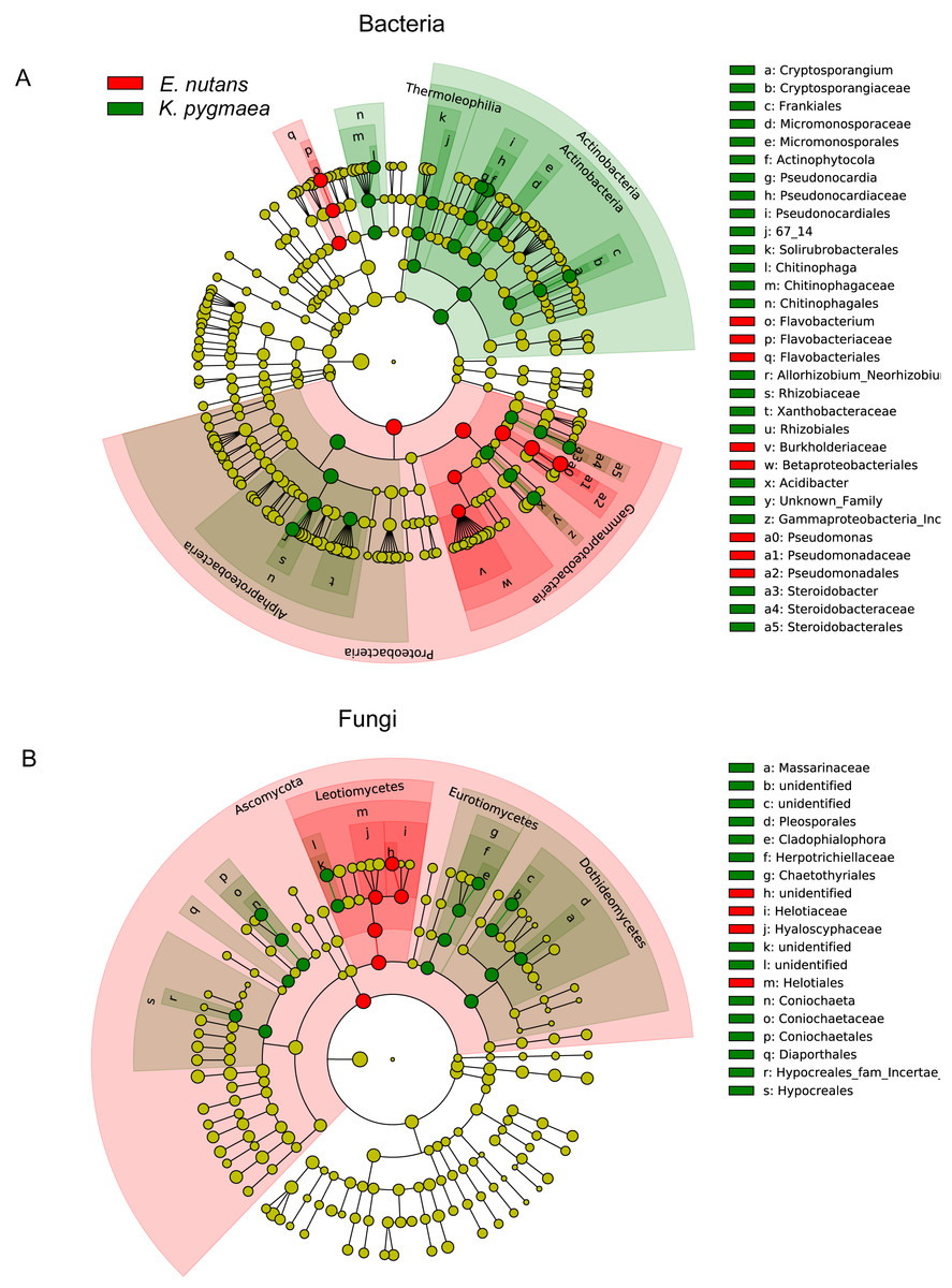 New Insight Into The Divergent Responses Of Plants To Warming In The Context Of Root Endophytic Bacterial And Fungal Communities Peerj