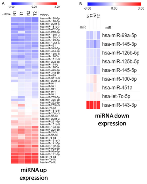 Heatmap exhibiting significant difference expression of miRNAs.