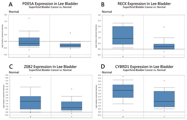 Expression in bladder cancer compared with normal tissue using the Oncomine database.