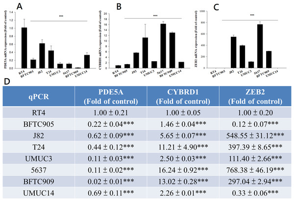 mRNA expression in UC and UTUC cells.