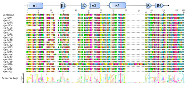 Multiple sequence alignment of the DBD domains of 23 members of the HSF protein family.