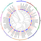 Genome-wide identification, classification and expression profile ...