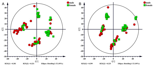 PCA score plot for males (red sopts) and females (green squares).