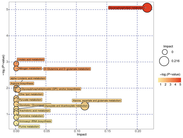 Metabolome map of metabolic pathways relevant for the changes in the serum metabolic profiles of NAFLD patients versus healthy controls.