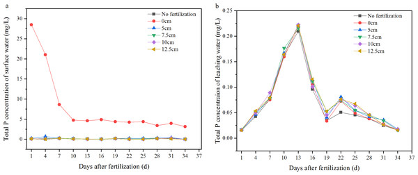 Variations of total P concentration in the surface and leaching water.