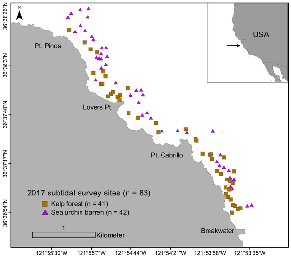 Subtidal survey sites along the Monterey Peninsula, California, USA.