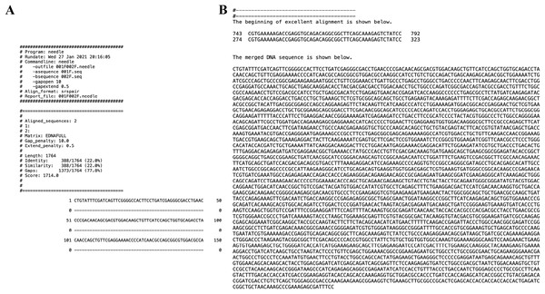 The screenshots of the script run showing the partial output of the needle alignment (A) and the first consensus line and the merged DNA sequence (B).