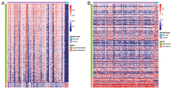 Heatmap of differentially methylated CpGs and expression of corresponding genes.