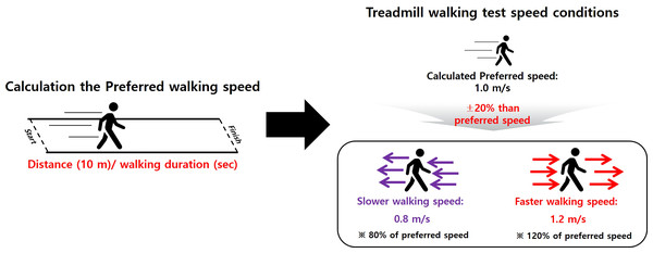 Walking speed definitions.
