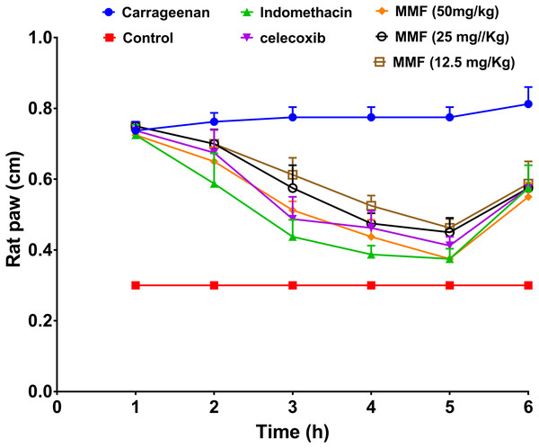 The results of rat paw test for evaluation of the anti-inflammatory activity of mycophenolate mofetil.