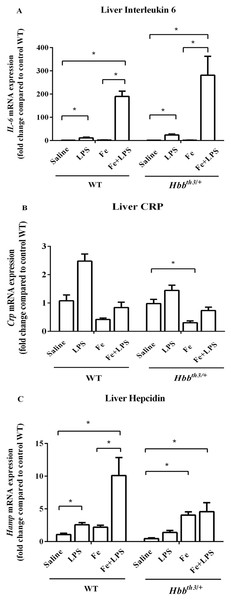 Effects of LPS on the mRNA expression of interleukin 6, C-reactive protein and hepcidin in the liver of wild type and thalassemic mice with/without parenteral iron loading.