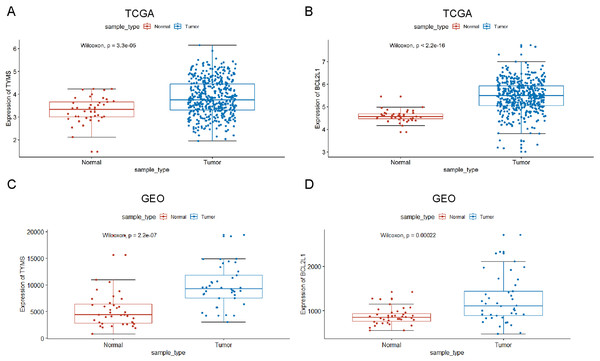 TYMS and BCL2L1 expression in patients with colorectal cancer.