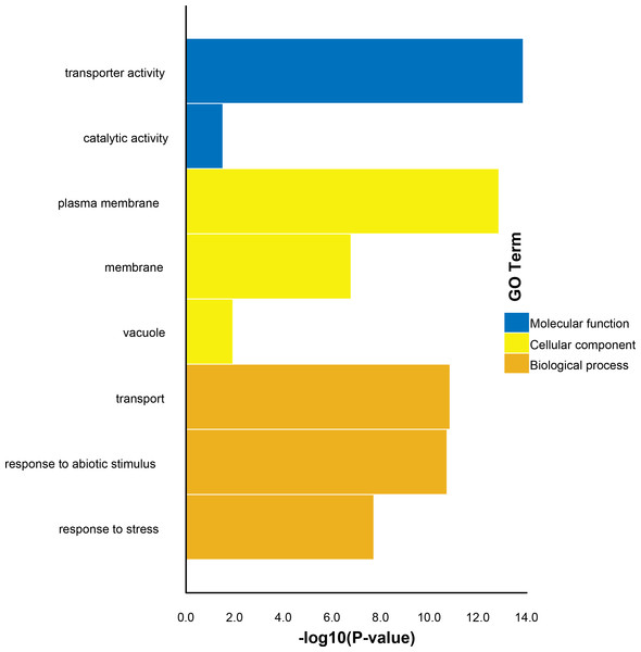 Enrichment of GO terms in the three main categories for the 81 TaSTP genes considered in this study.