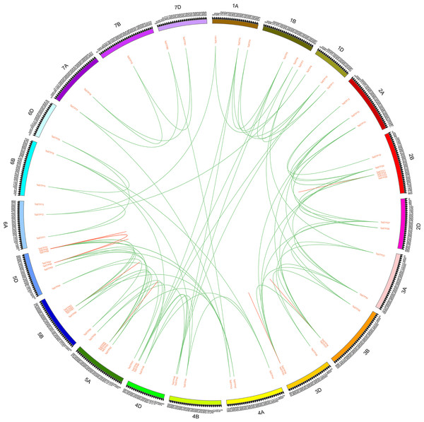 Localization and synteny of the TaSTP genes in the wheat genome.