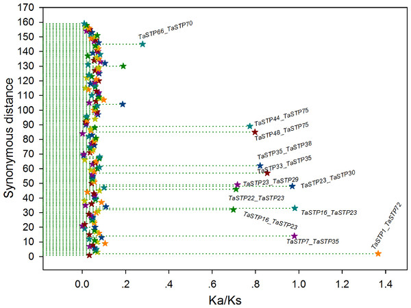 The Ka/Ks ratios of the gene pairs in the duplication blocks.