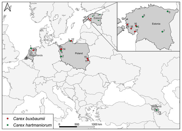 Locations of Carex buxbaumii and C. hartmaniorum sites sampled in this study.