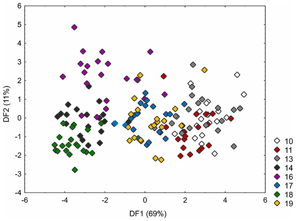 Discriminant scores for individuals of Carex buxbaumii populations.