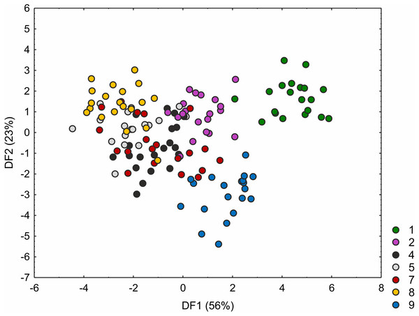 Discriminant scores for individuals of Carex hartmaniorum populations.
