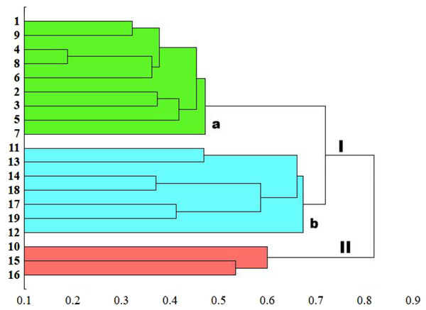 UPGMA dendrogram of genetic similarity of the studied populations of Carex obtained on the basis of ISSR markers.