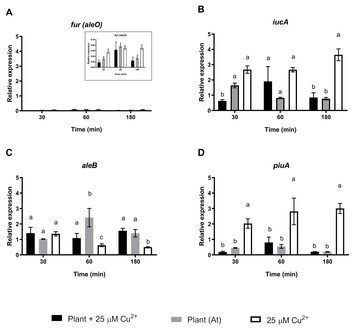 The multi metal-resistant bacterium Cupriavidus metallidurans CH34 ...