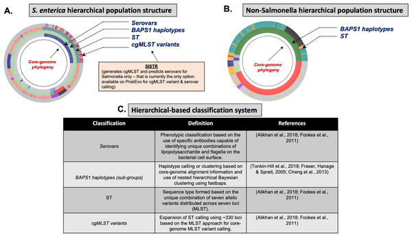 Demonstration of the hierarchical population structure mapping onto a core-genome phylogeny for Salmonella and non-Salmonella bacterial species, including specific clasifications.