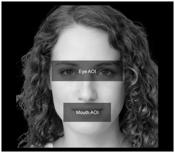 Face AOIs considered in the study.