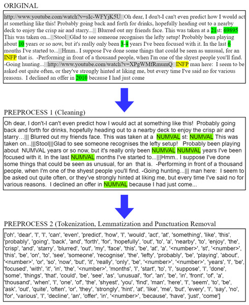 Preprocessing example.