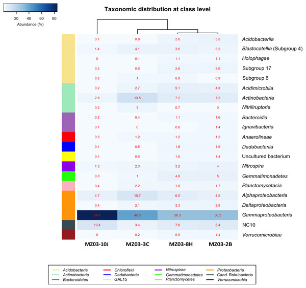 Taxonomic identifications of Bacteria at class level.