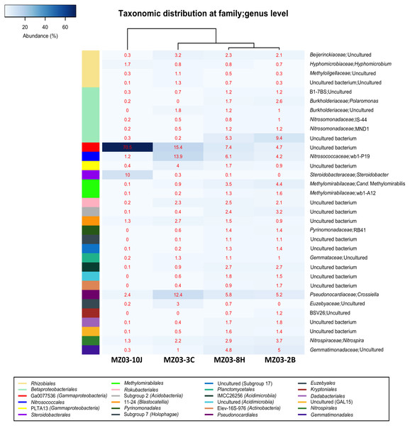 Taxonomic identifications of Bacteria at family/genus level.