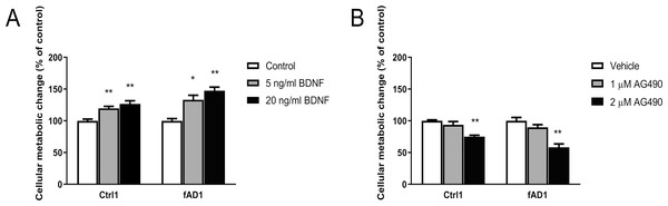 Different effect of BDNF, AG490 and DMSO on hNPCs metabolic activity.