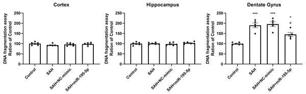 Detection of apoptotic cell death after SAH.