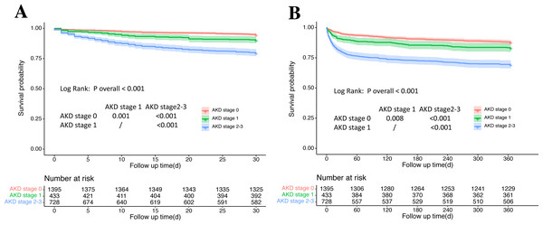 Kaplan–Meier survival curves for 30-day and one-year mortality among AKD stages.