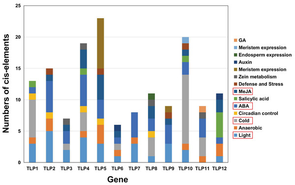 The analysis of putative Cis-elements of TLP genes in S. miltiorrhiza.