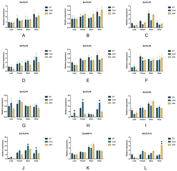 The expression of TLP genes in S. miltiorrhiza under cold stress and exogenous ABA stress treatment (A-L).