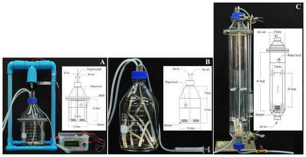 Photographs and configurations of three bioreactors with spargers.
