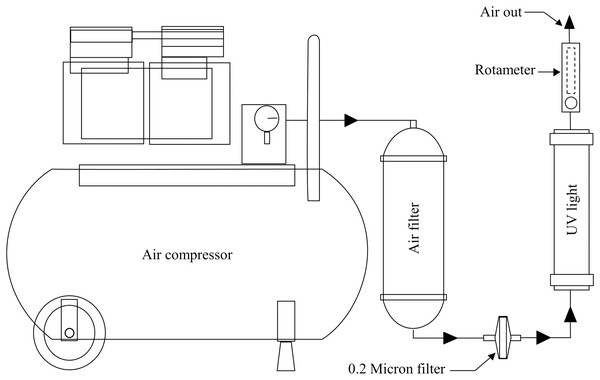 Bioreactor aeration system.