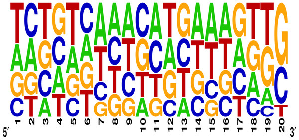 Sequence logo describing nucleotide preferences in gRNAs targeting ineffective DNA regions.