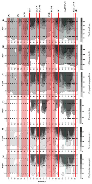 Distribution of total plankton abundance (A), abundances of Oithona similis (B), Copepoda copepodites (C), Foraminifera (D), Ctenocalanus citer (E), and Euphausiacea nauplii (F).