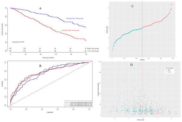 (A) Survival curves in model group; (B) time-dependent receiver operating characteristic curves in model group; (C) the distribution of prognostic model score in model group; (D) the overall survival status and overall survival time in model group.