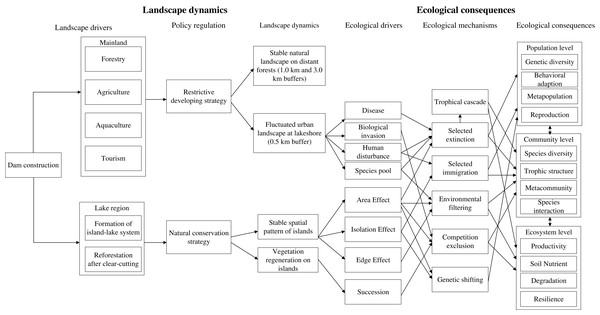 A conceptual framework that links landscape dynamics and ecological consequences since dam construction in the TIL region (modified from Fig. 5 in Wu et al., 2004).